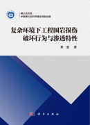 复杂环境下工程围岩损伤破坏行为与渗透特性