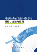 遥感影像自监督特征学习：理论、方法与应用