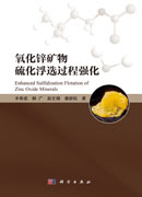 氧化锌矿物硫化浮选过程强化