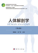 人体解剖学（第五版）