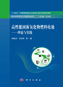 高性能固体氧化物燃料电池——理论与实践