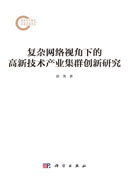 复杂网络视角下的高新技术产业集群创新研究