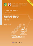 细胞生物学（第三版）