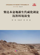 柴达木盆地新生代咸化湖盆沉积环境演变