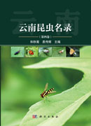 云南昆虫名录（第四卷）