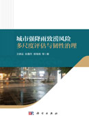 城市强降雨致涝风险多尺度评估与韧性治理
