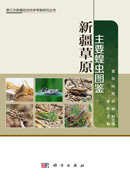新疆草原主要蝗虫图鉴
