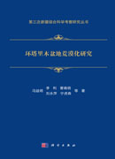 环塔里木盆地荒漠化研究