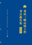 重庆三峡后续工作考古报告集（第四辑）