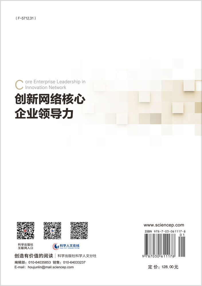 创新网络核心企业领导力