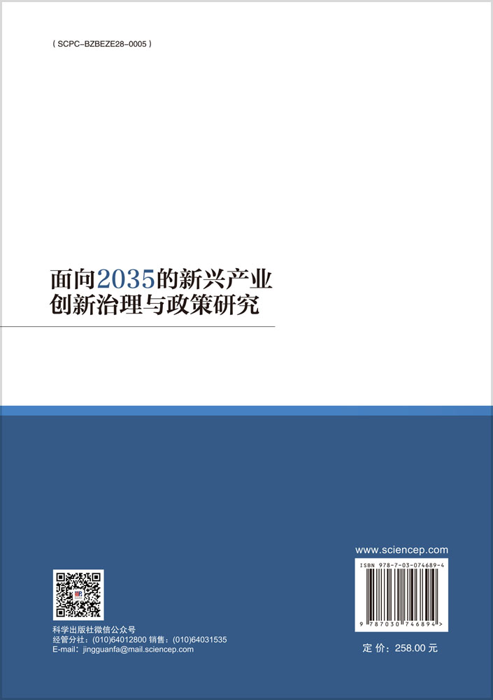 面向2035的新兴产业创新治理与政策研究