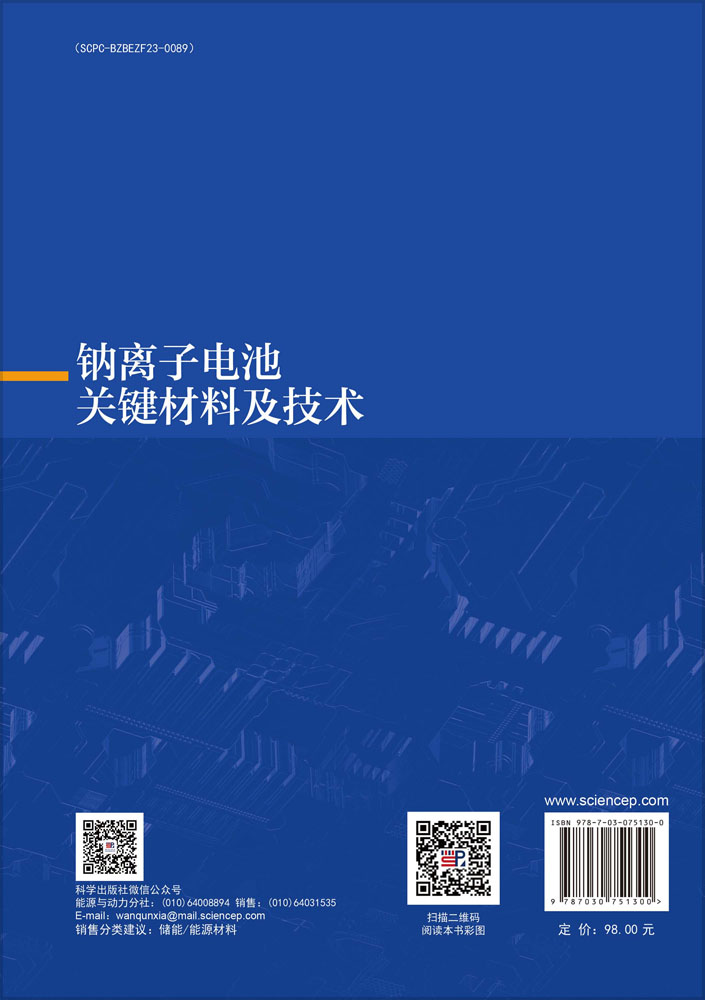 钠离子电池关键材料及技术