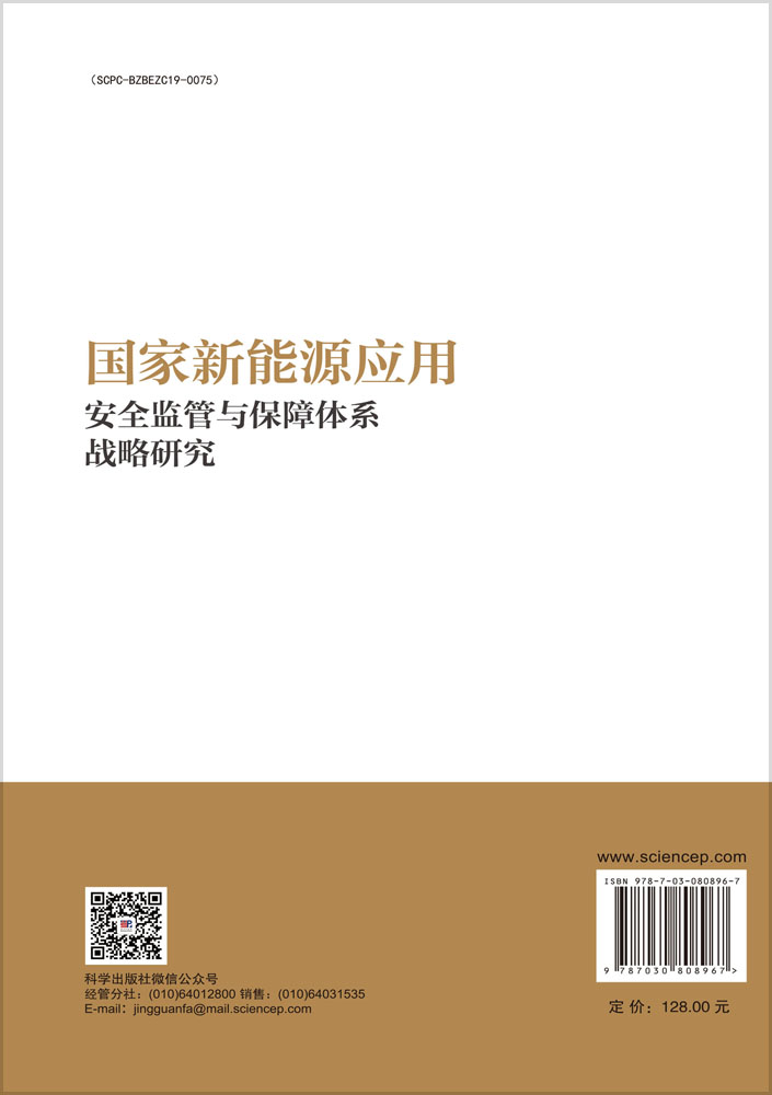 国家新能源应用安全监管与保障体系战略研究