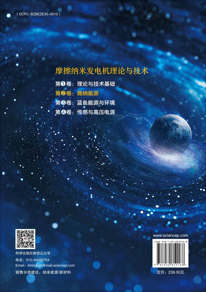 摩擦纳米发电机理论与技术 第2卷：微纳能源