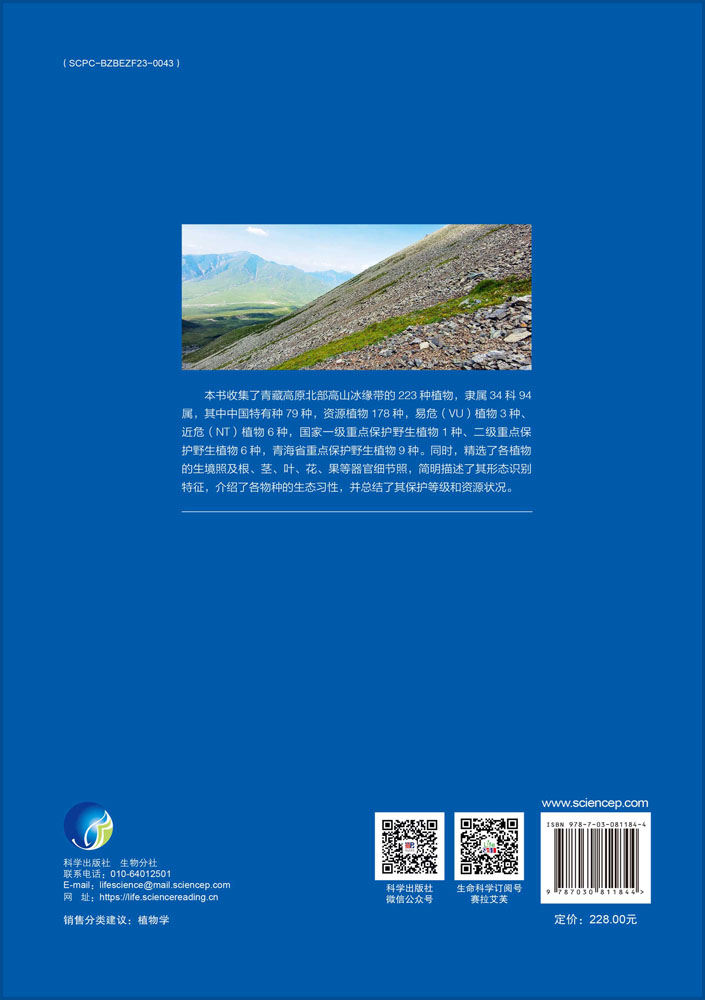 青藏高原北部高山冰缘带植物图谱