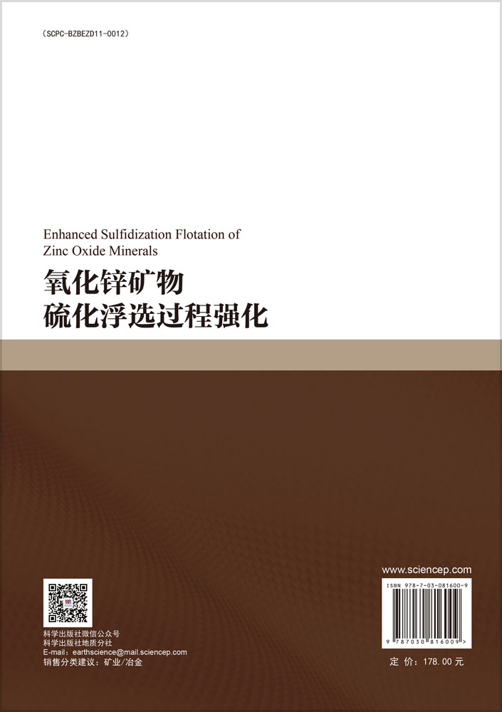 氧化锌矿物硫化浮选过程强化