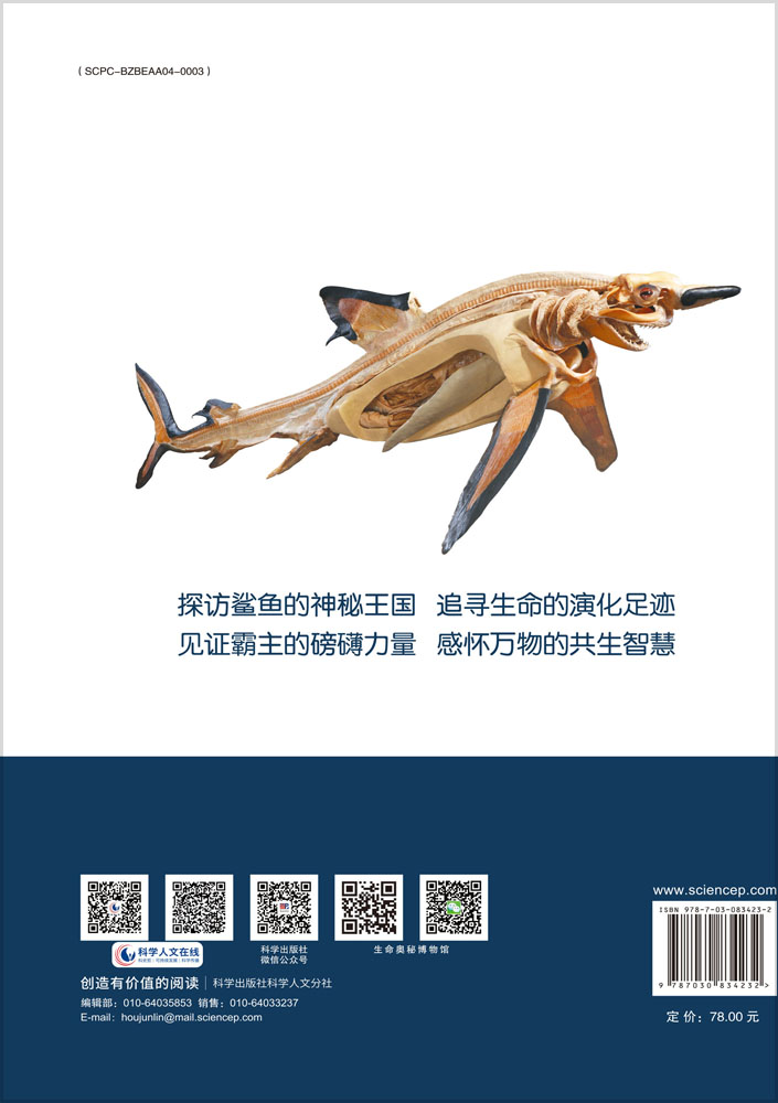 海洋猎手：鲨鱼的一生