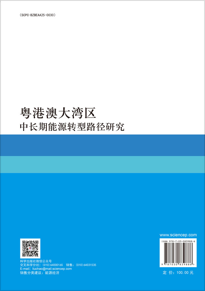 粤港澳大湾区中长期能源转型路径研究