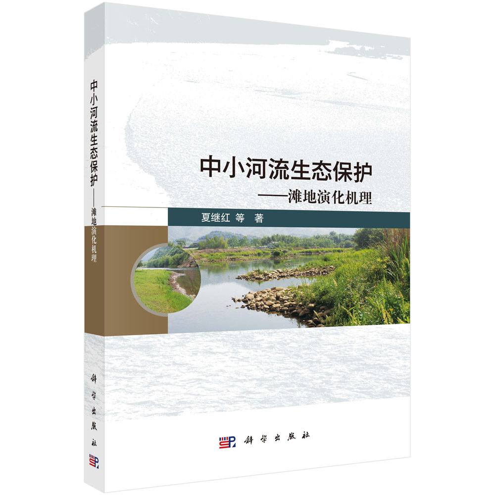 中小河流生态保护——滩地演化机理