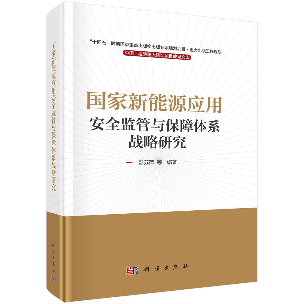国家新能源应用安全监管与保障体系战略研究