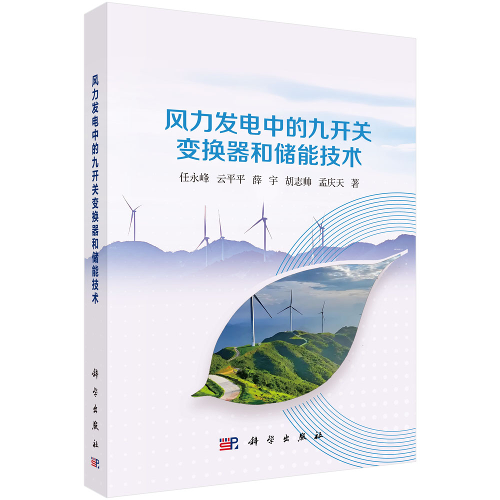 风力发电中的九开关变换器和储能技术