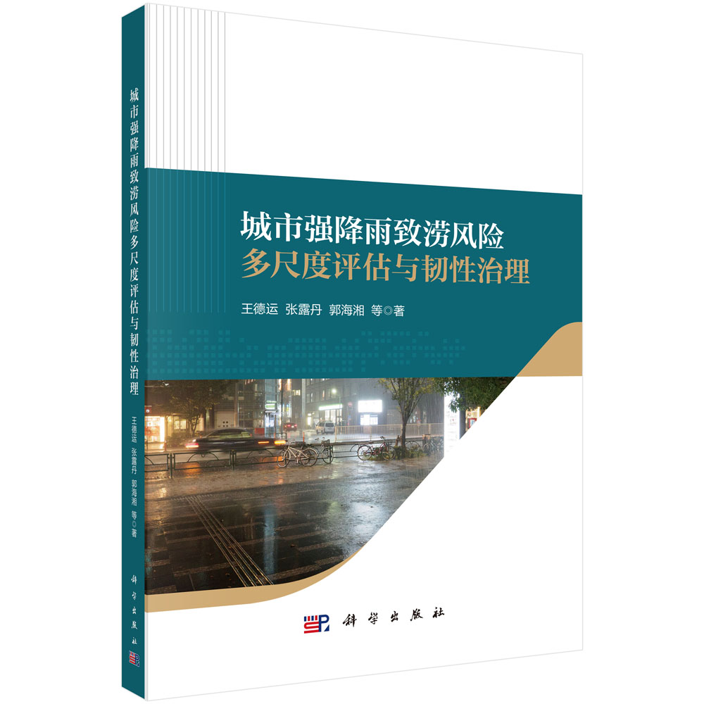 城市强降雨致涝风险多尺度评估与韧性治理