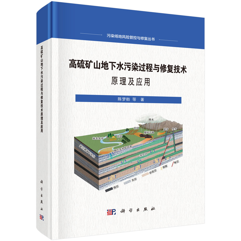 高硫矿山地下水污染过程与修复技术原理及应用