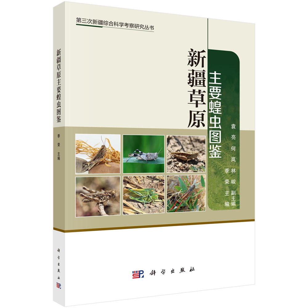 新疆草原主要蝗虫图鉴