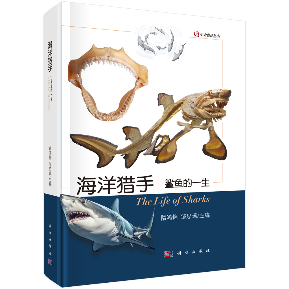 海洋猎手：鲨鱼的一生