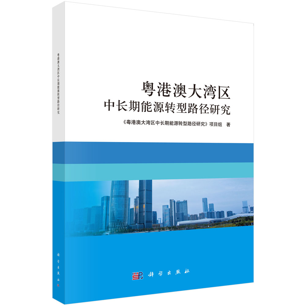 粤港澳大湾区中长期能源转型路径研究