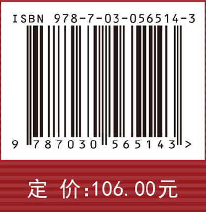 巨型项目：雄心与风险
