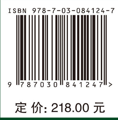 区域综合能源系统规划理论及应用