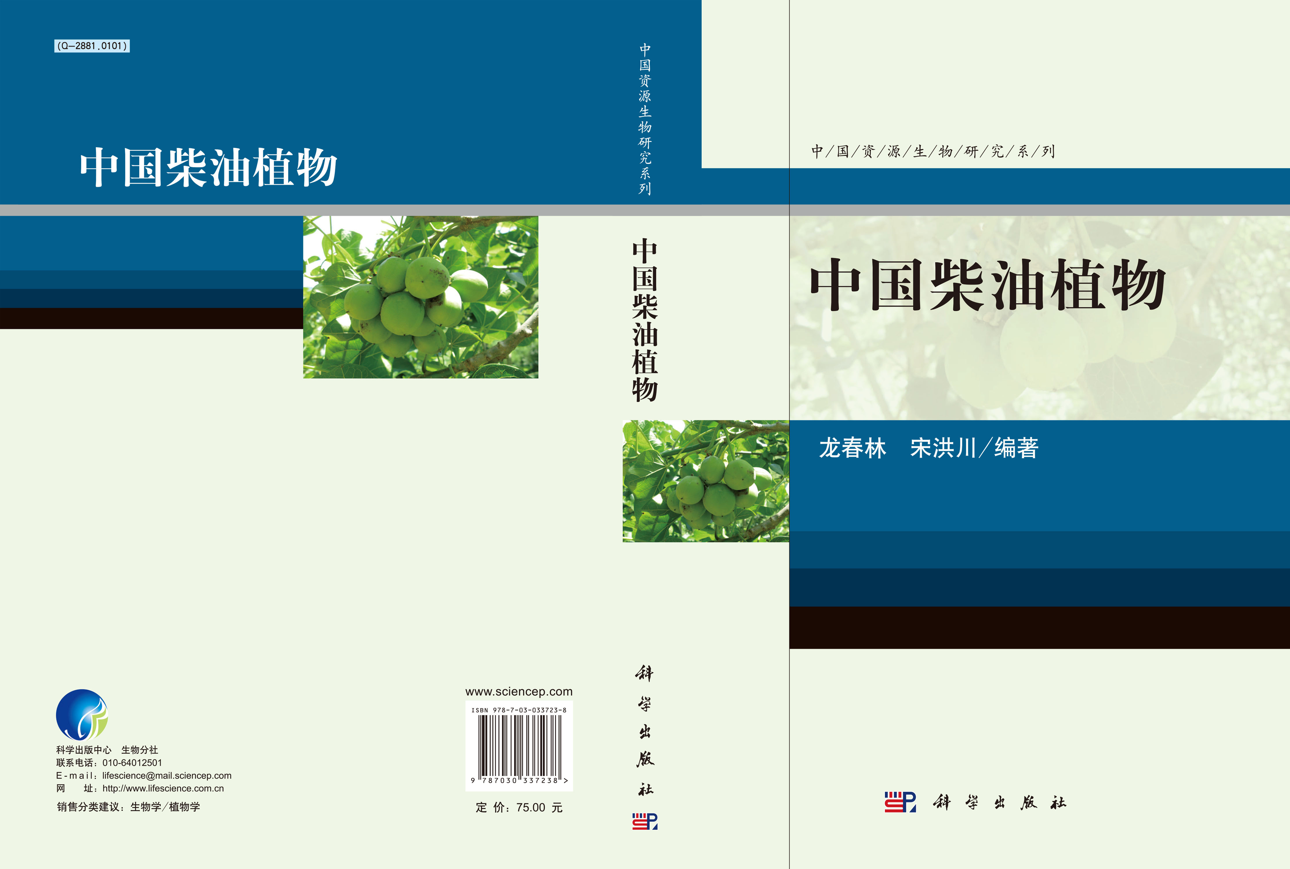 中国柴油植物