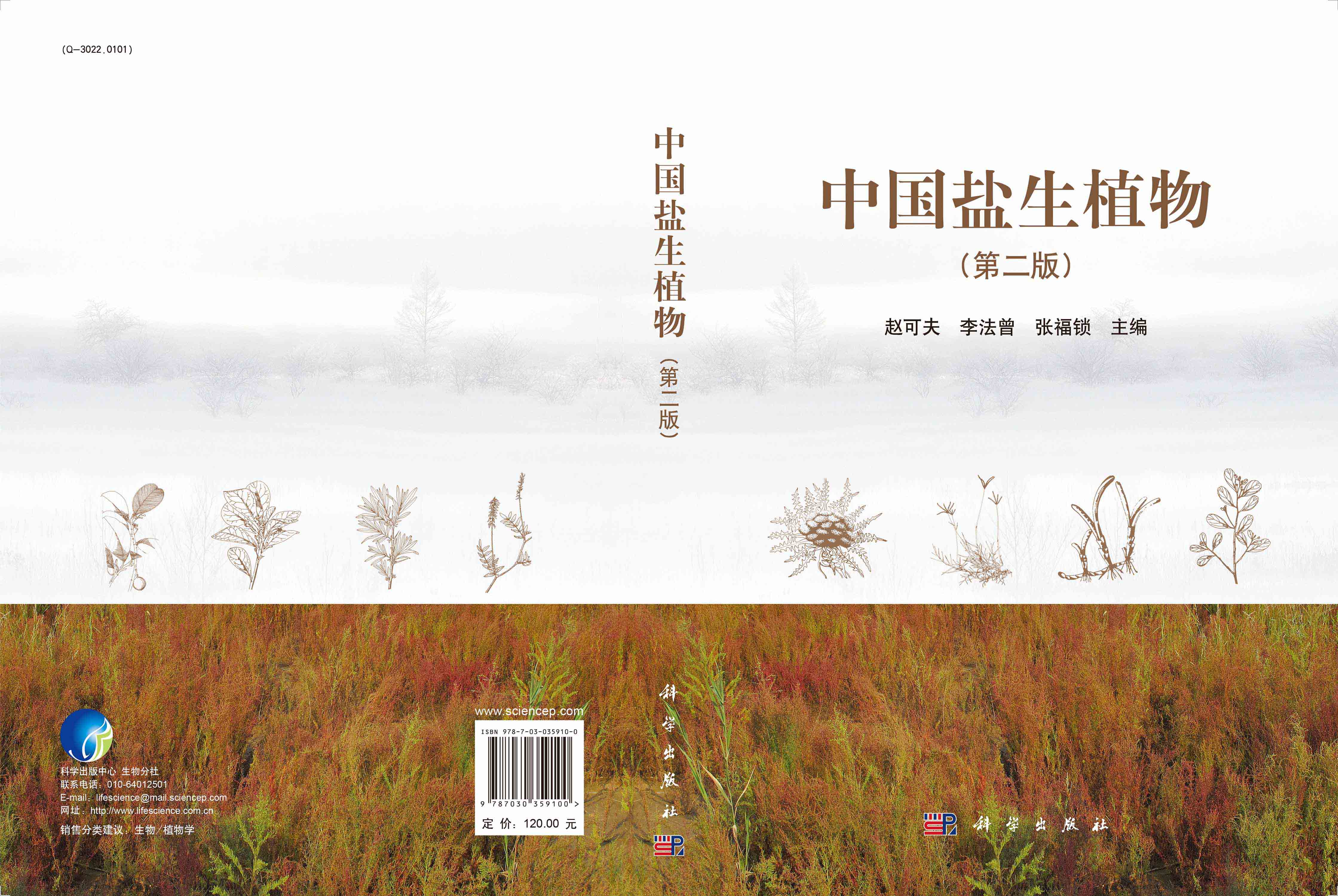 中国盐生植物（第二版）