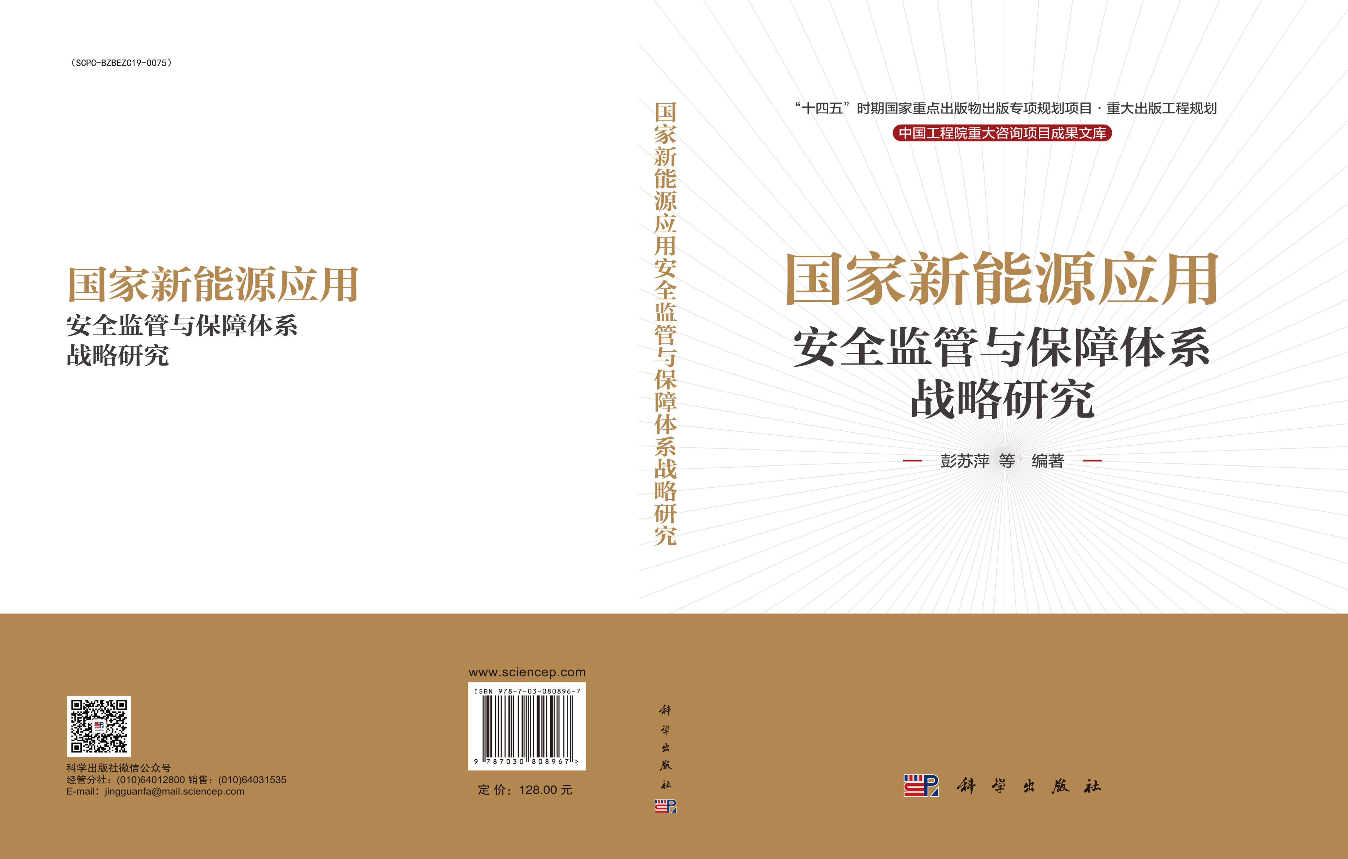 国家新能源应用安全监管与保障体系战略研究