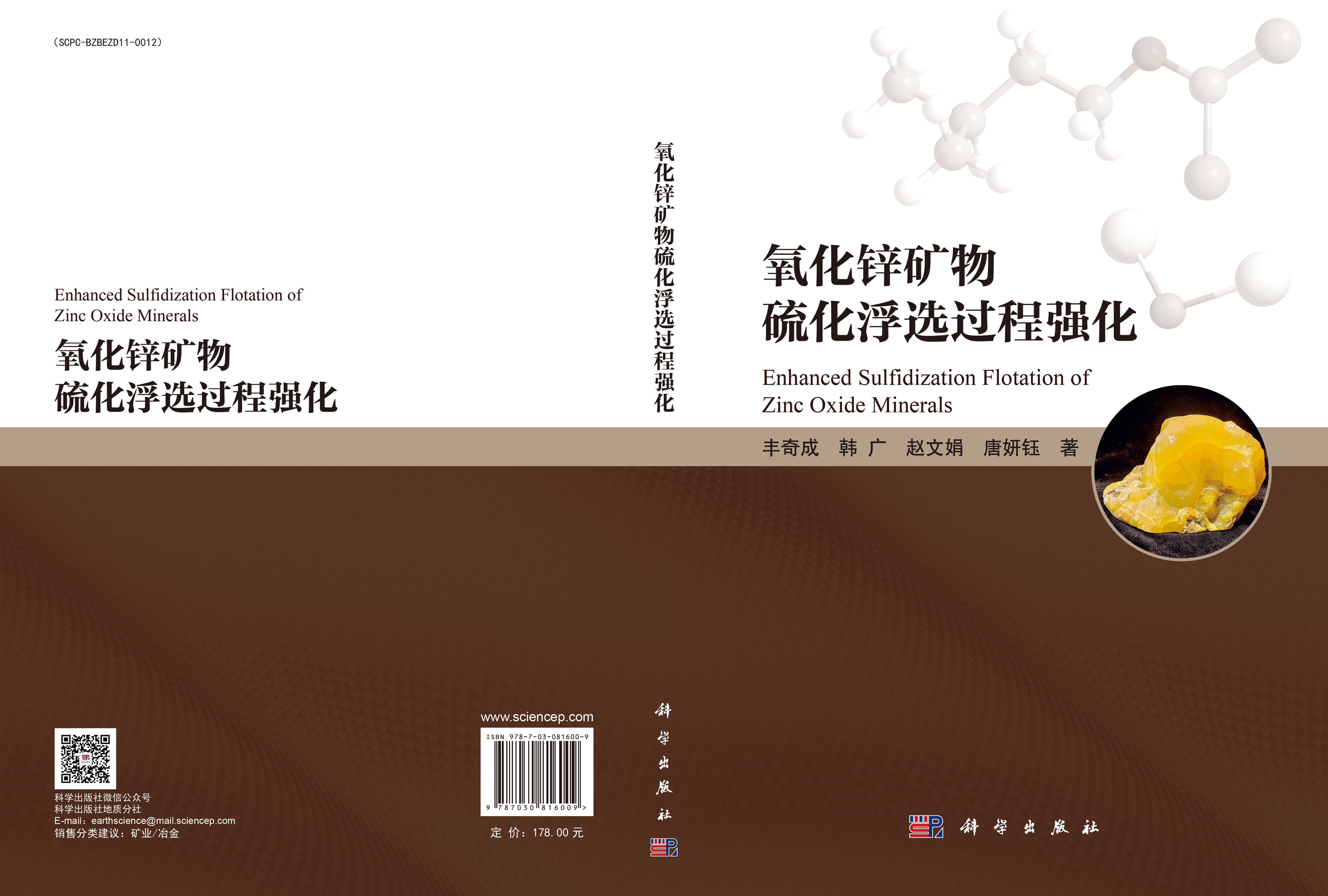 氧化锌矿物硫化浮选过程强化