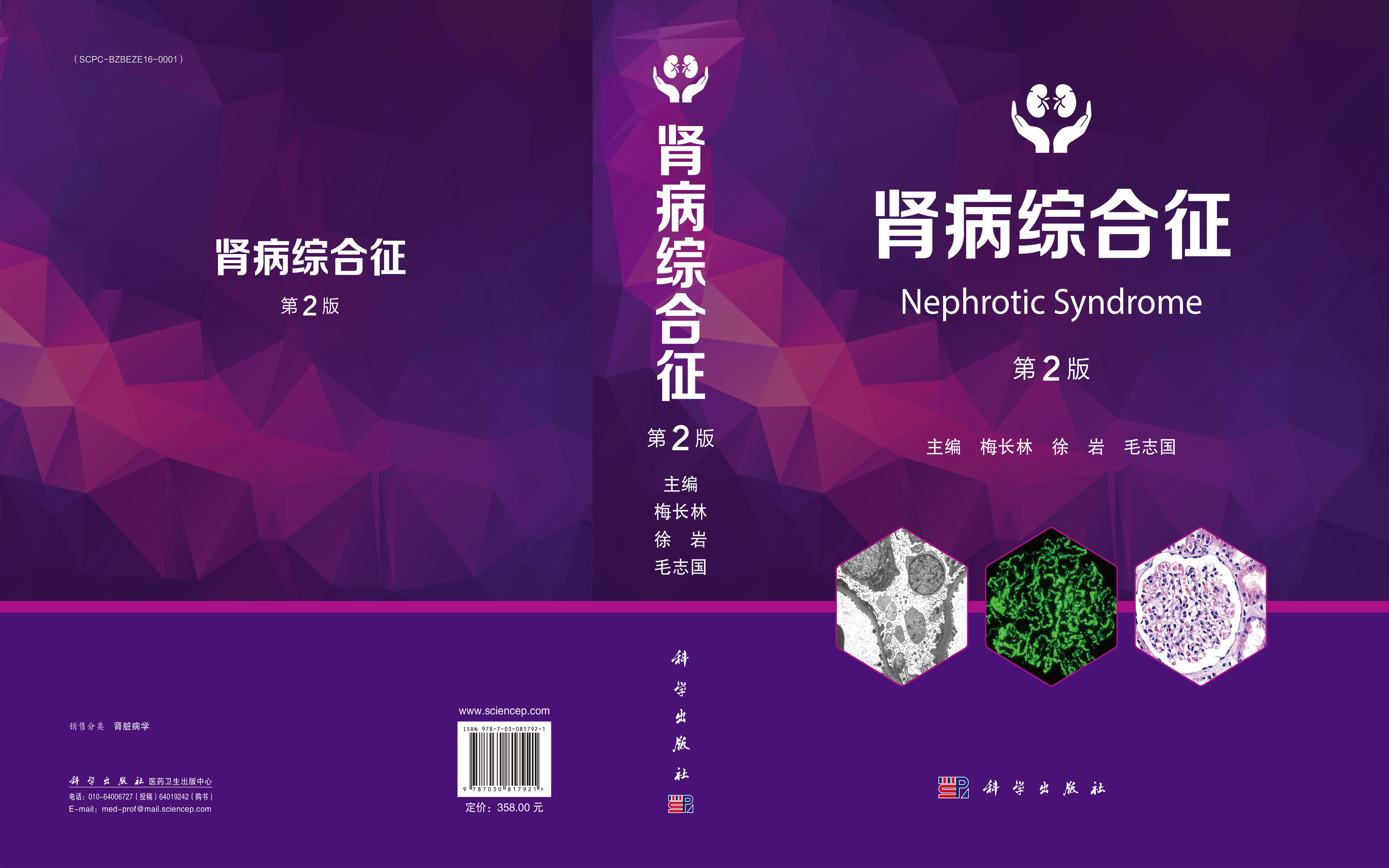 肾病综合征（第2版）