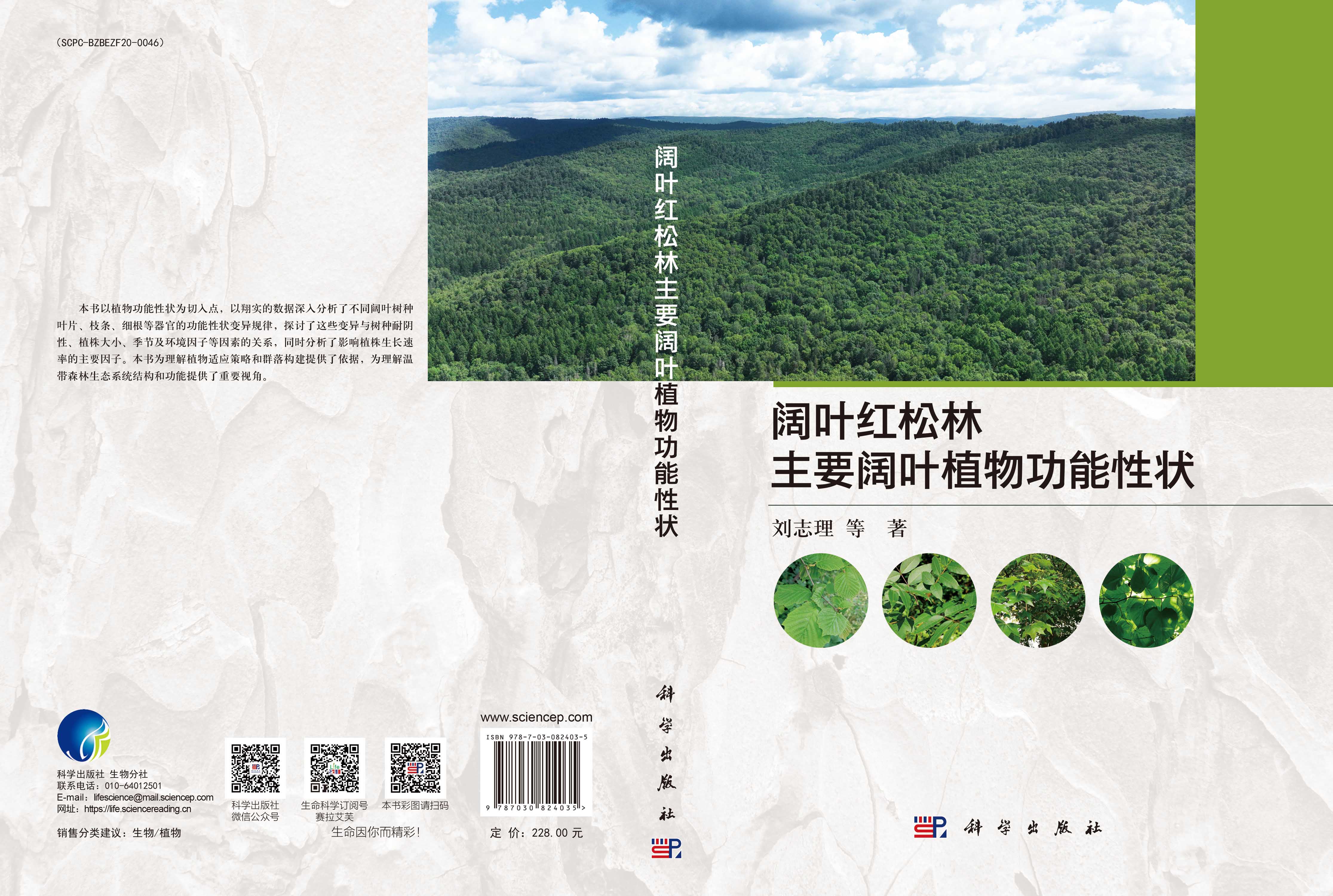 阔叶红松林主要阔叶植物功能性状