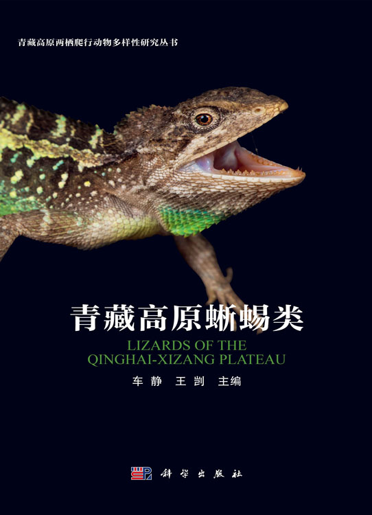 青藏高原蜥蜴类