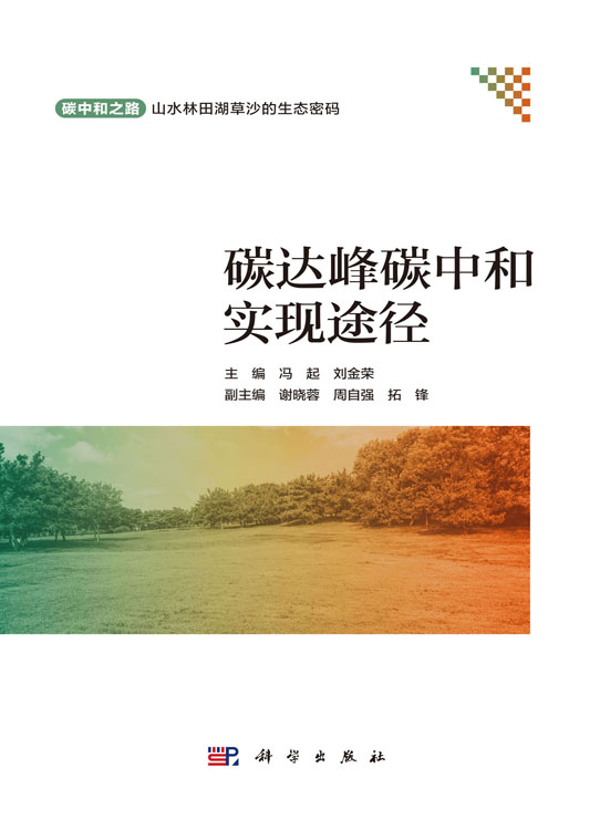 碳达峰碳中和实现途径