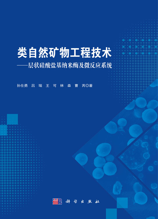 类自然矿物工程技术——层状硅酸盐基纳米酶及微反应系统