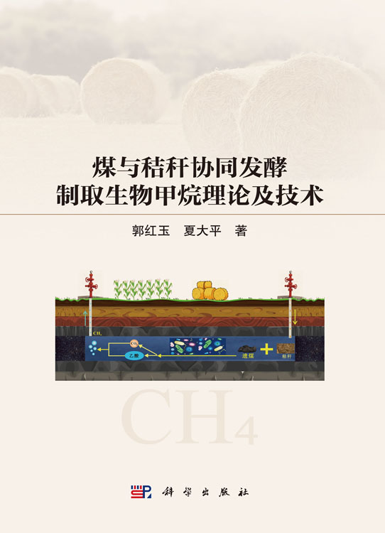 煤与秸秆协同发酵制取生物甲烷理论及技术