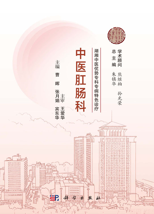 湖湘中医优势专科专病特色诊疗 中医肛肠科