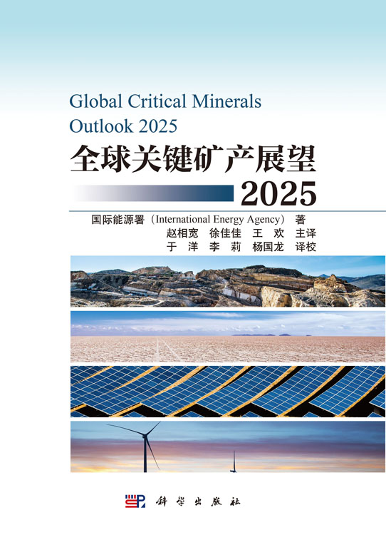 全球关键矿产展望2025