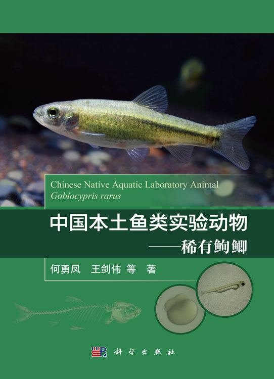 中国本土鱼类实验动物——稀有？？鲫