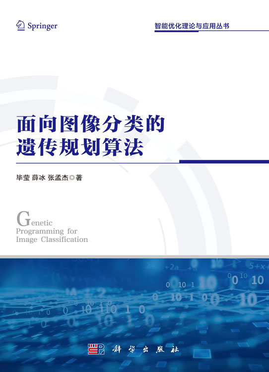 面向图像分类的遗传规划算法