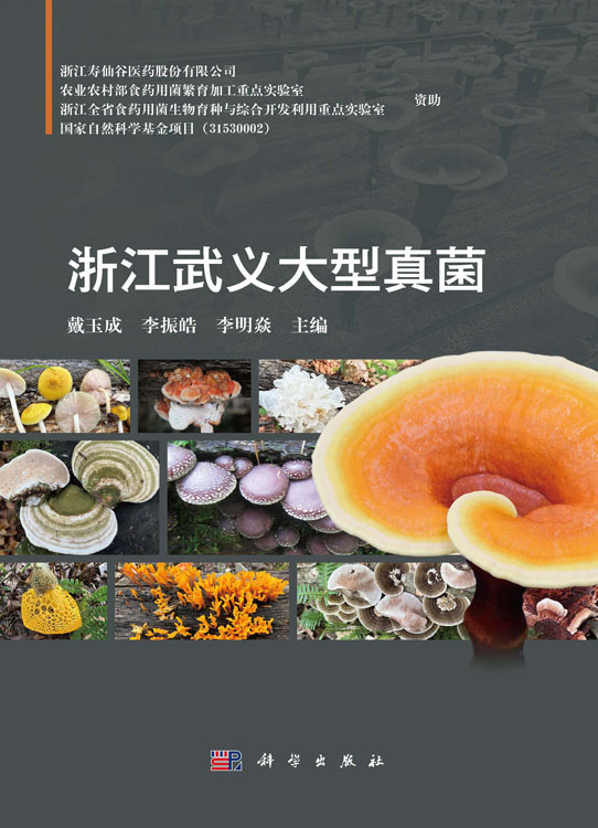 浙江武义大型真菌