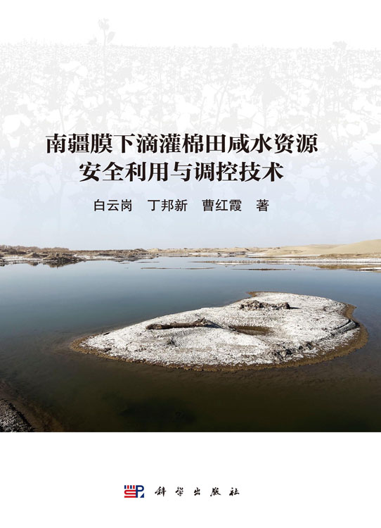 南疆膜下滴灌棉田咸水资源安全利用与调控技术