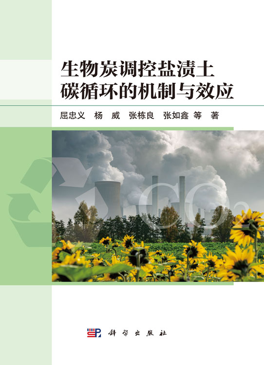 生物炭调控盐渍土碳循环的机制与效应