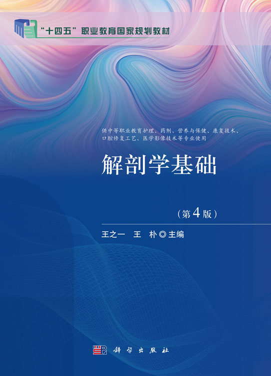 解剖学基础（第4版）